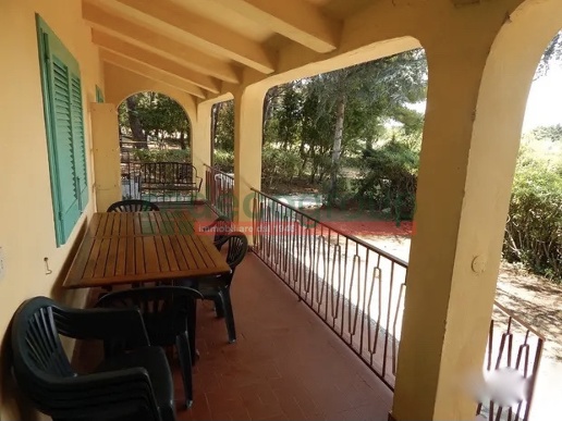 immagine annuncio 2 di 6