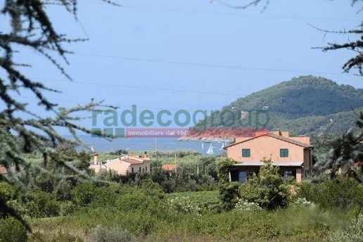 immagine annuncio 4 di 6