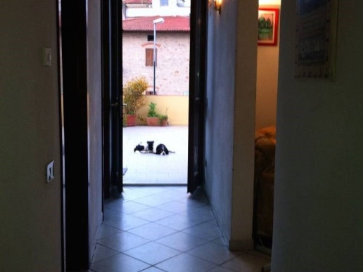 immagine annuncio 7 di 11