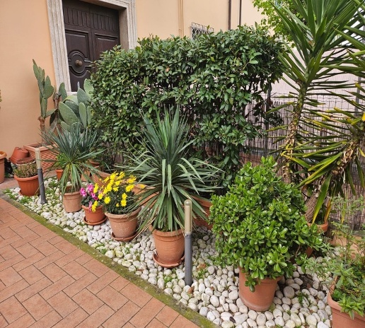 immagine annuncio 11 di 14