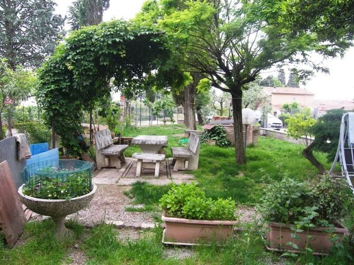 immagine annuncio 2 di 12