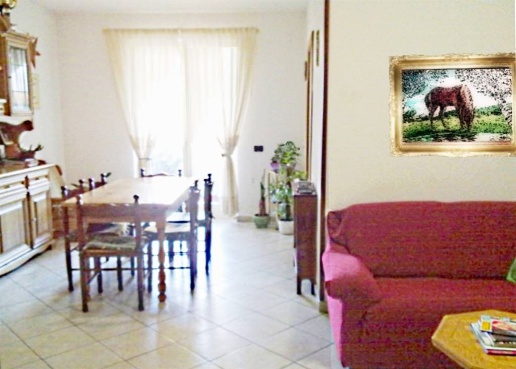 immagine annuncio 3 di 12