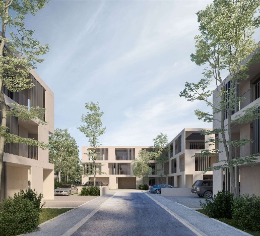 immagine annuncio 4 di 7