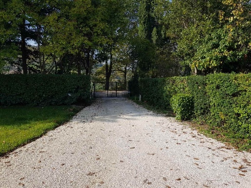 immagine annuncio 13 di 14