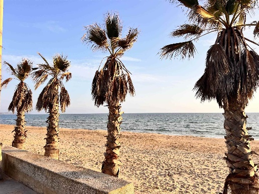 immagine annuncio 0 di 15