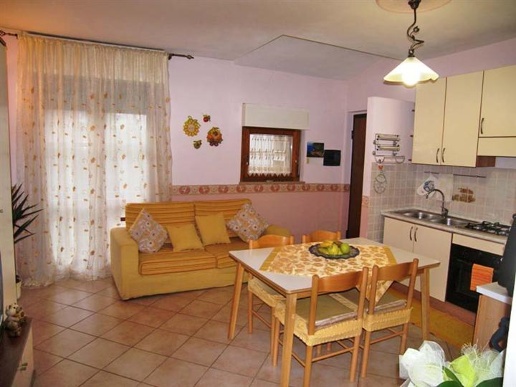 immagine annuncio 3 di 11