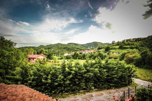 immagine annuncio 4 di 8