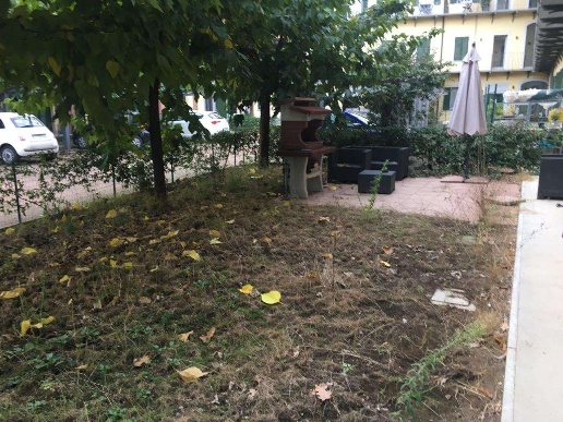 immagine annuncio 1 di 14