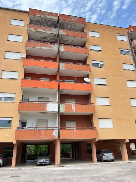 immagine annuncio 1 di 13