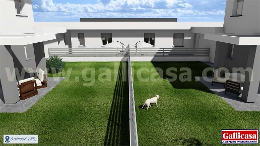immagine annuncio 6 di 14
