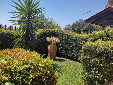 Foto Appartamento a Trecastagni in vendita