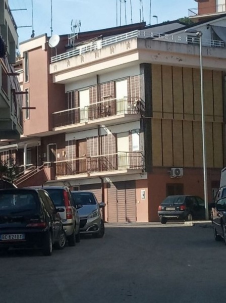 immagine annuncio 2 di 12