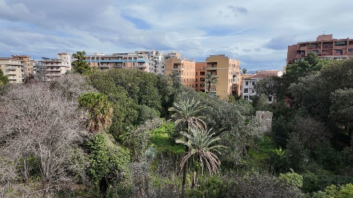 Foto Appartamento in Piazza Principe Di Camporeale 26 D, Palermo Zisa
