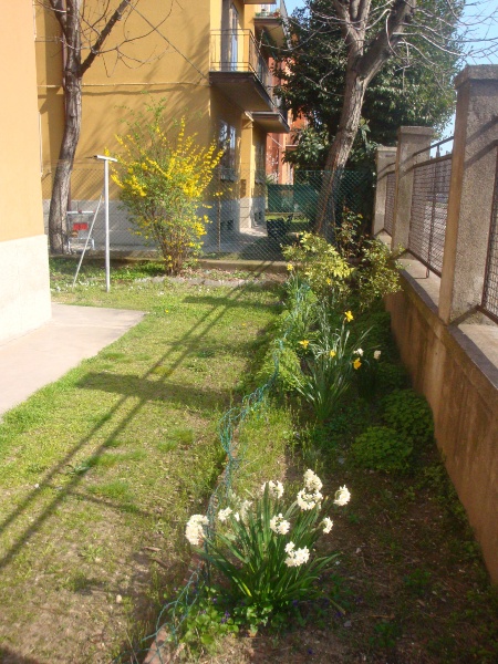 immagine annuncio 5 di 13