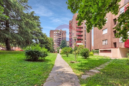 Foto Appartamento in Via Mecenate, Milano Viale Ungheria - Mecenate