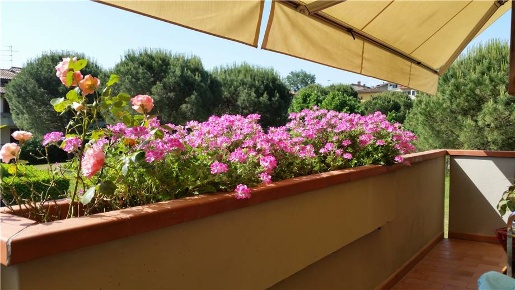Foto Appartamento in -, Poggio a Caiano in vendita