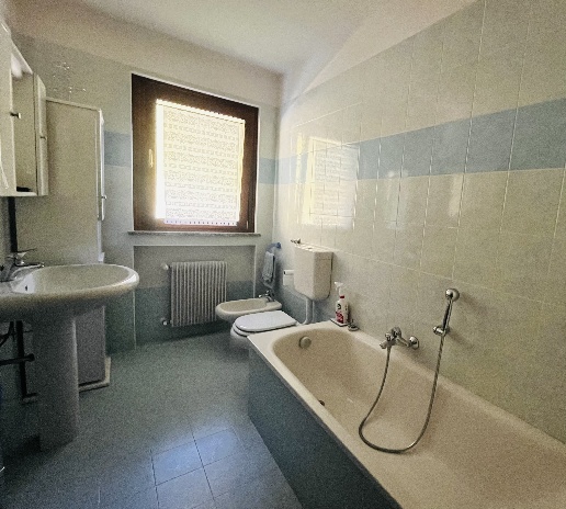 immagine annuncio 7 di 11