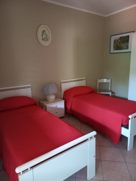 immagine annuncio 4 di 8