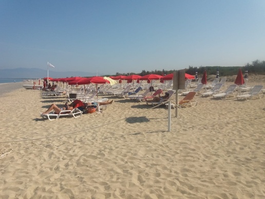 immagine annuncio 7 di 8