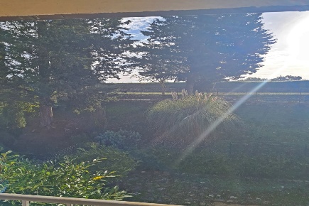 Foto Appartamento a Sovicille in vendita