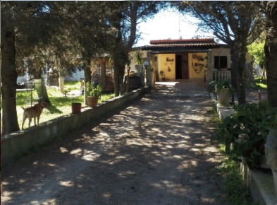 Foto Villa unifamiliare in Contrada Chicco di Chiara, Campi Salentina
