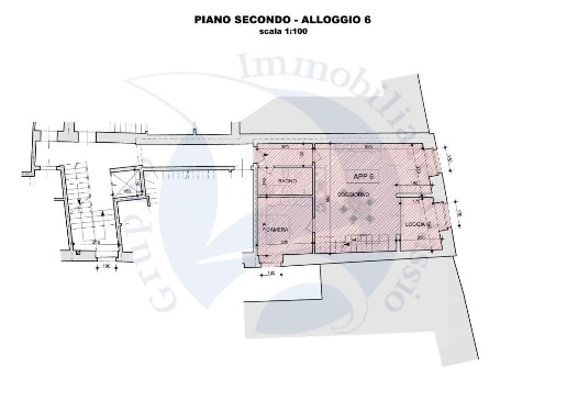 immagine annuncio 9 di 11