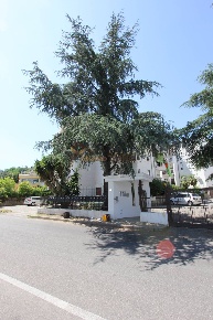 Foto Appartamento in VIA LEONARDO DA VINCI, Castrolibero Andreotta
