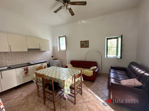 immagine annuncio 3 di 7