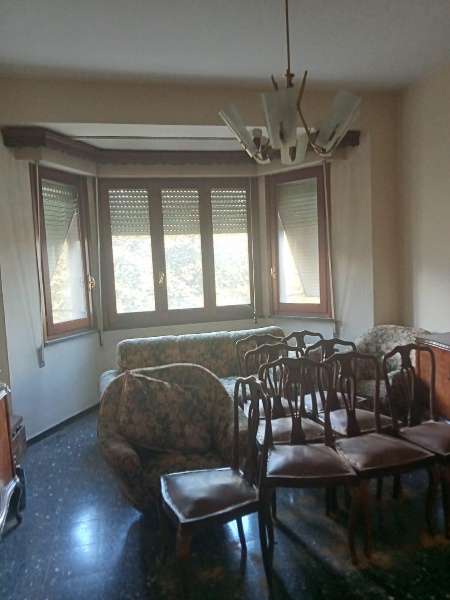 immagine annuncio 3 di 14