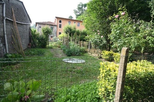 immagine annuncio 13 di 14