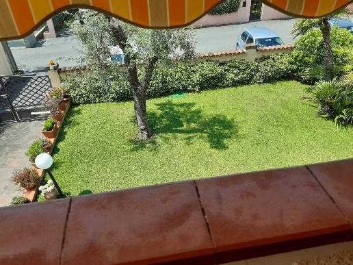 immagine annuncio 1 di 14