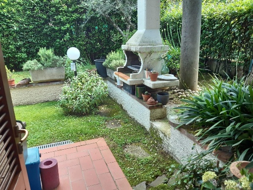 immagine annuncio 3 di 14