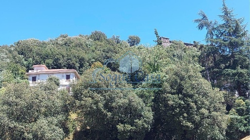 Foto Villa unifamiliare a Aulla Centro in vendita