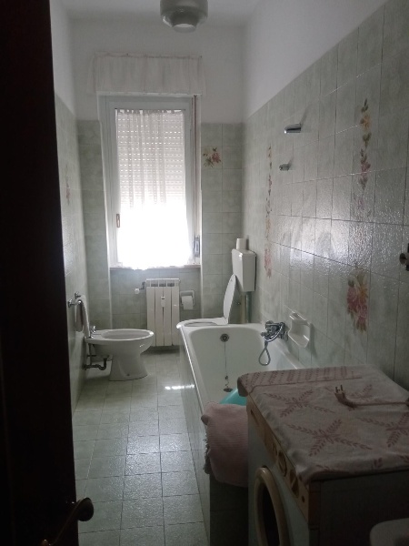 immagine annuncio 5 di 14