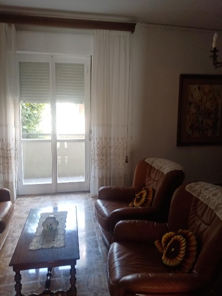 immagine annuncio 6 di 14