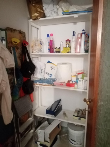 immagine annuncio 9 di 14