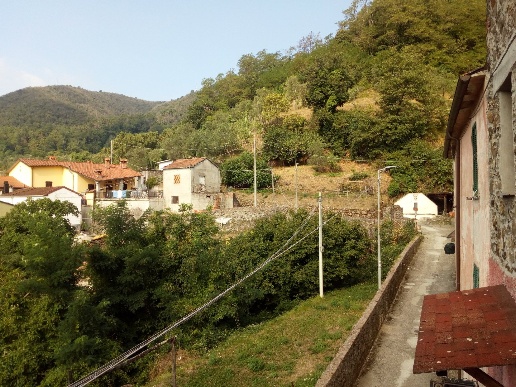 immagine annuncio 6 di 8