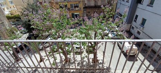 Foto Appartamento a Ragusa di 180 m² con 8 locali in vendita