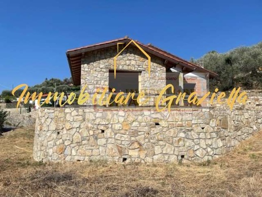 immagine annuncio 7 di 8