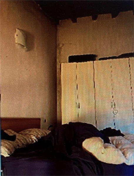 immagine annuncio 10 di 13