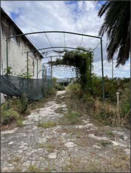 immagine annuncio 3 di 6