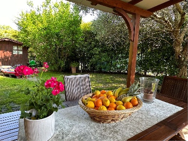 Foto Villa a schiera a Novi di Modena di 190 m² con 4 locali in vendita