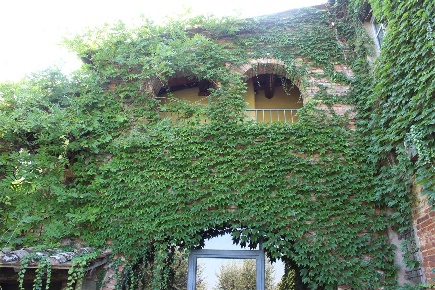 Foto Appartamento a Foiano della Chiana di 500 m² con 12 locali in vendita