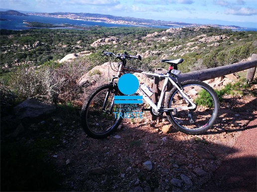 immagine annuncio 9 di 12