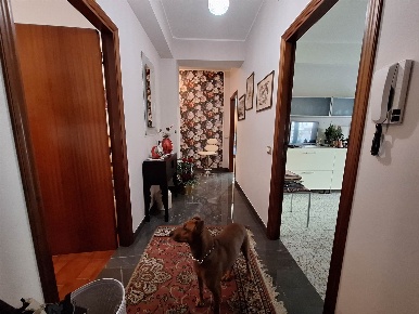 Foto Appartamento a Treia Passo Di Treia di 107 m² con 5 locali in vendita