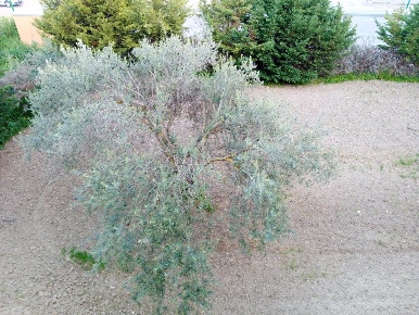Foto Appartamento a Campobello di Licata di 110 m² con 7 locali in vendita