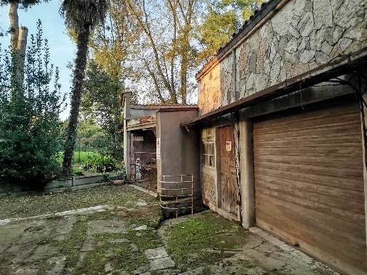 immagine annuncio 4 di 6
