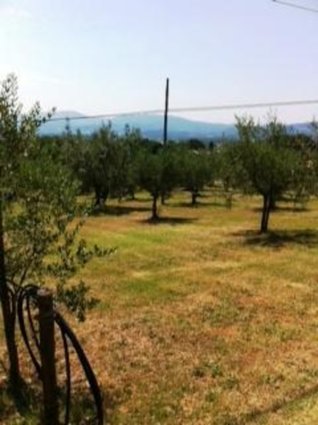 immagine annuncio 5 di 7