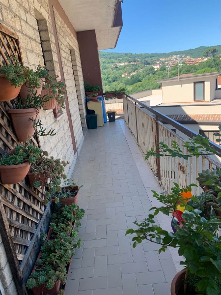 immagine annuncio 7 di 11