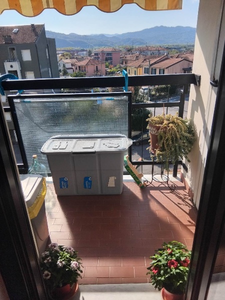 immagine annuncio 10 di 12
